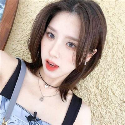 我的狗蚪蚪
